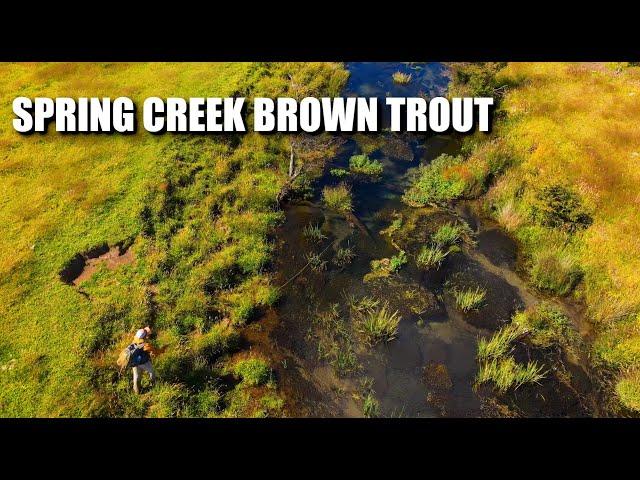 "SPRING CREEK IMMERSION: EAST OF THE ANDES" - Fly Fishing a Chilean Spring Creek Brown Trout