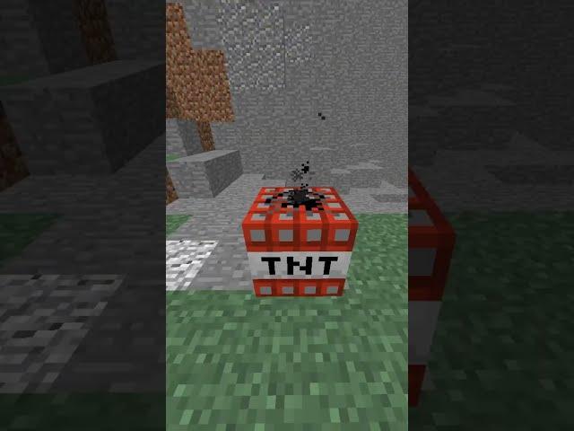 Biggest TNT Explosion in Minecraft  #shorts