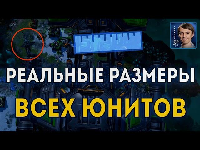 РЕАЛЬНЫЕ МАСШТАБЫ STARCRAFT II: Обзор терранов, зергов и протоссов