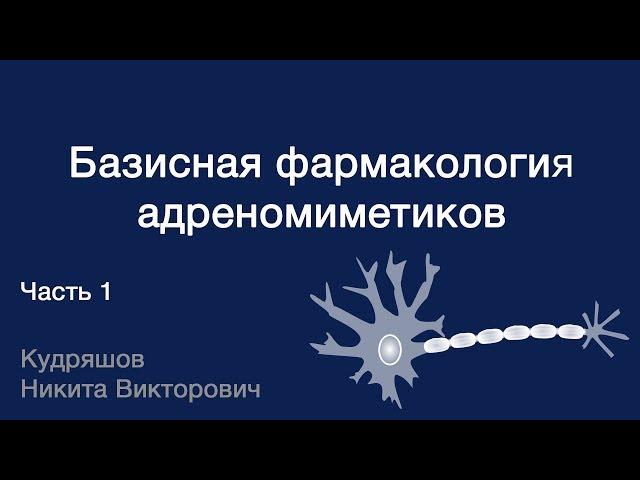 Базисная фармакология адреномиметиков. Часть 1