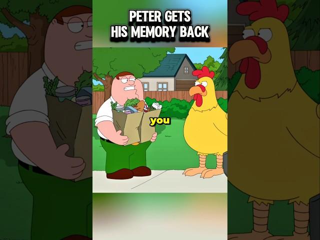 Peter Gets His Memory Back  #familyguy