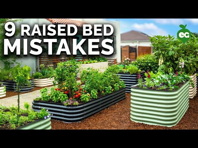 9 Beginner Raised Bed Garden Mistakes to Avoid