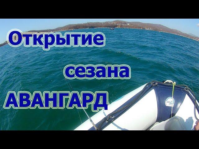 Открытие сезона, ловля Минтая бухта Авангард.