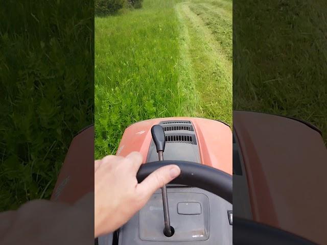 Работа мечты....?!:)