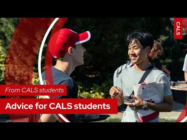 Advice for CALS students, from CALS students