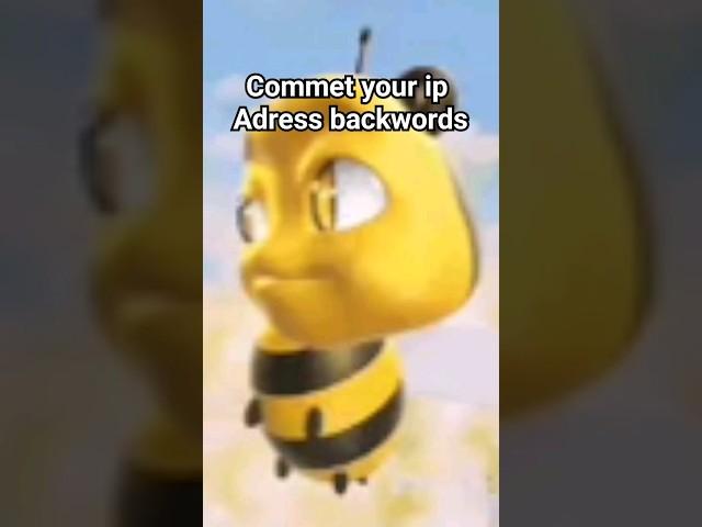 Commet your ip address #music #memes #lowqualitymemes