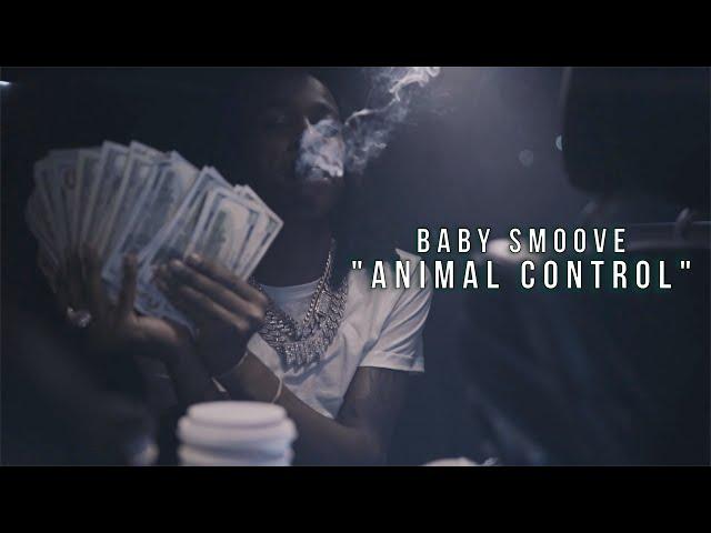 Baby Smoove - "Animal Control" (Official Music Video)