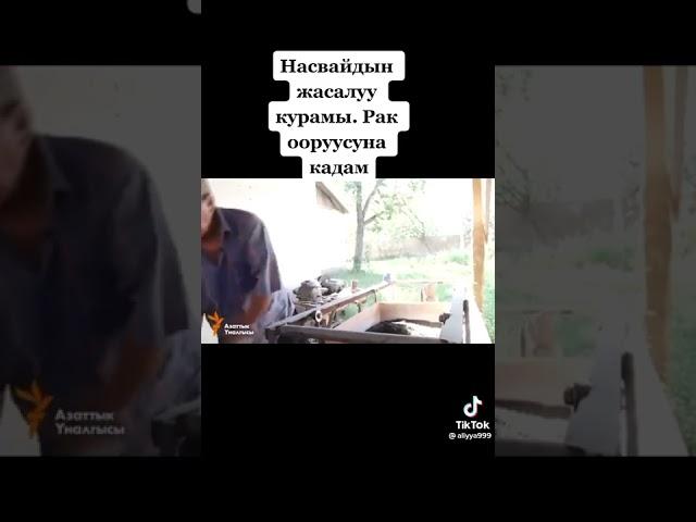 Насвай кантип жасалат