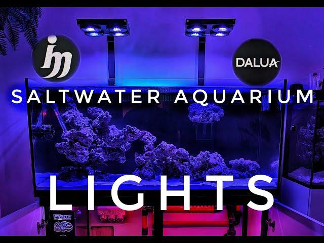 New Saltwater Aquarium Lights | Illumagic X4 | Dalua = BEAST MODE