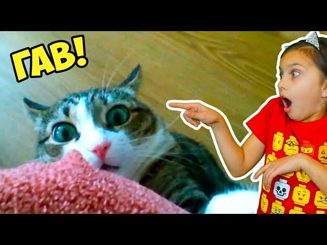 ВСЕ СМЕШНЫЕ КОТЫ! СБОРНИК! ЛУЧШИЙ НЕ ЗАСМЕЙСЯ ЧЕЛЛЕНДЖ! Funny Cats Попробуй не засмеяться Валеришка