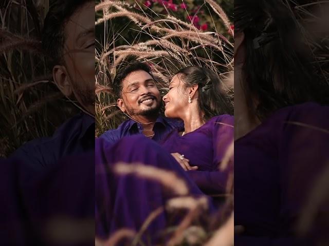 JIMIKKI PONNU | PRE WEDDING SHOOT | WEDDING REELS | CANDY EXPRESS PHOTOGRAPHY