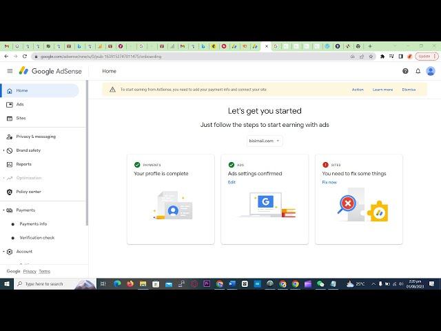 To start earning from AdSense, you need to add your payment info and connect your site