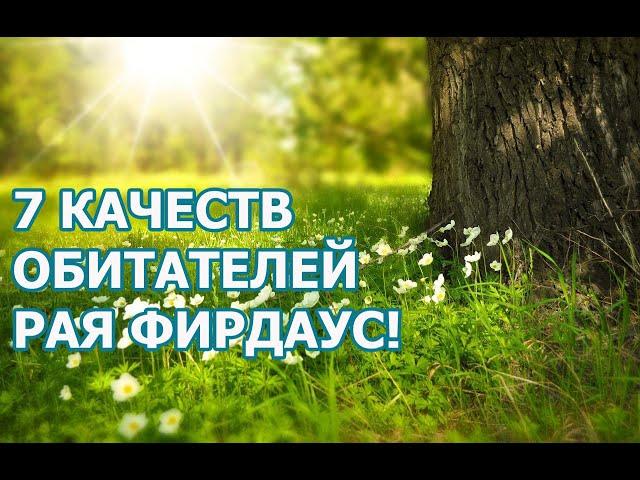 7 качеств обитателей Рая Фирдаус!