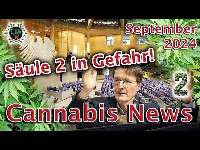 Canna News September 2024 - Deutschland, Österreich, Thailand, Großbritannien, Schottland