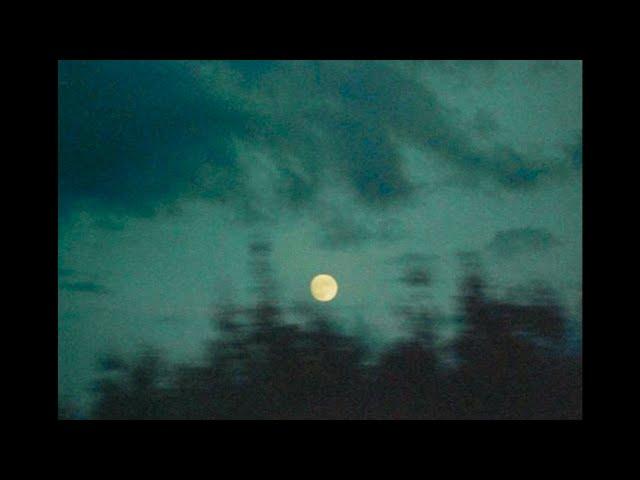 [FREE] HARD EXPERIMENTAL TYPE BEAT - "nocturnality"