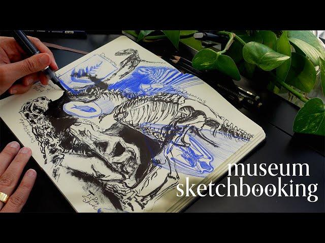 drawing dinosaurs in my sketchbook at the field museum  sketchbook with me