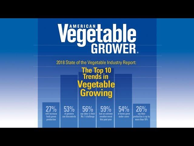 The Top Trends in Vegetable Growing