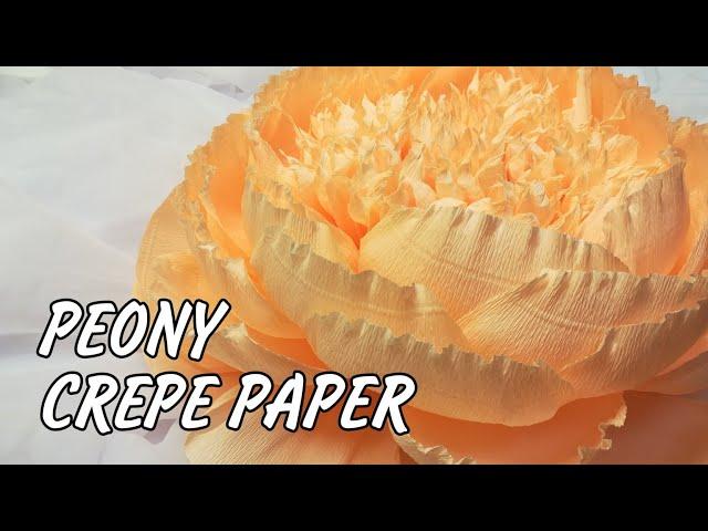 Crepe paper flowers making - Giant paper peony -  paper flower backdrop