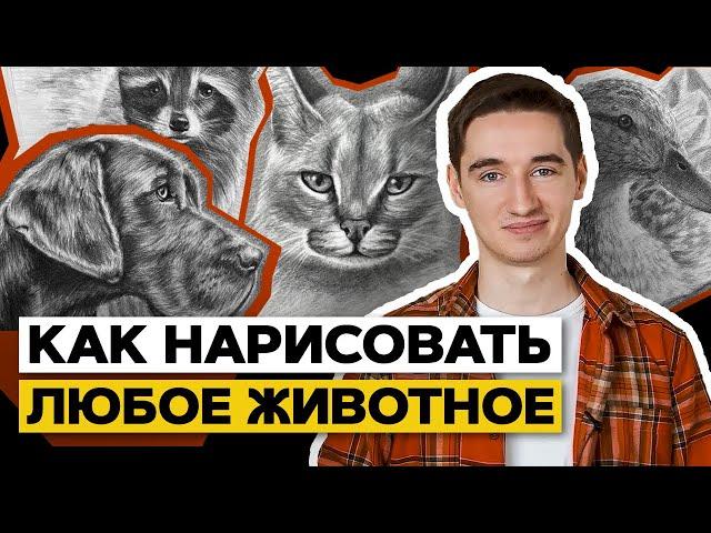 РИСУЮ КОГО ХОЧУ! | Как научиться рисовать любое животное?