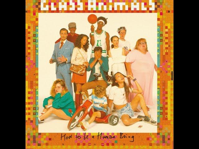 Glass Animals - Youth