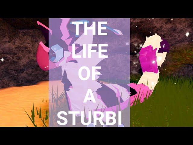 ️THE LIFE OF A STURBI️ game: Creatures of sonaria [roblox]