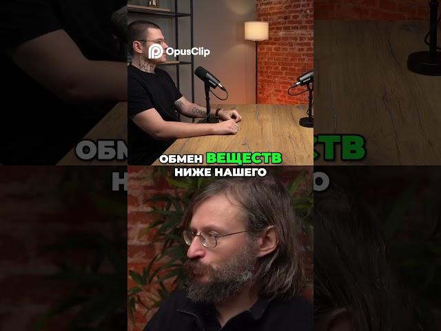 Почему обезьяны не могут стать как люди? Дробышевский объясняет