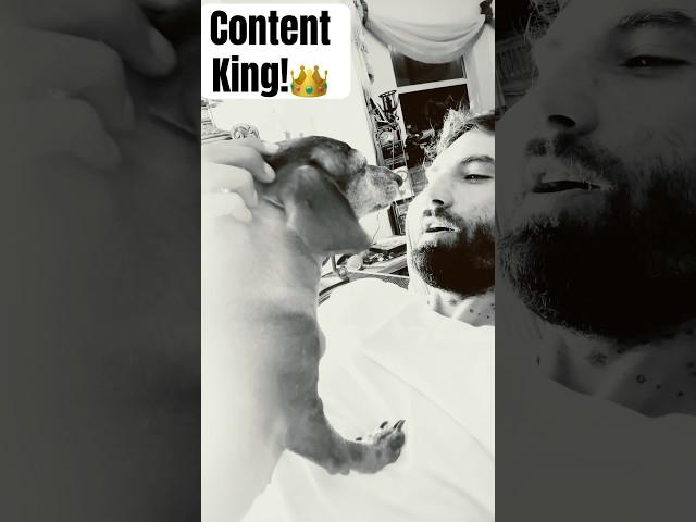 ️CONTENT KING!️🫡🫡🫡🫡 #shorts #steelofunkboogi #fyp #viralshorts