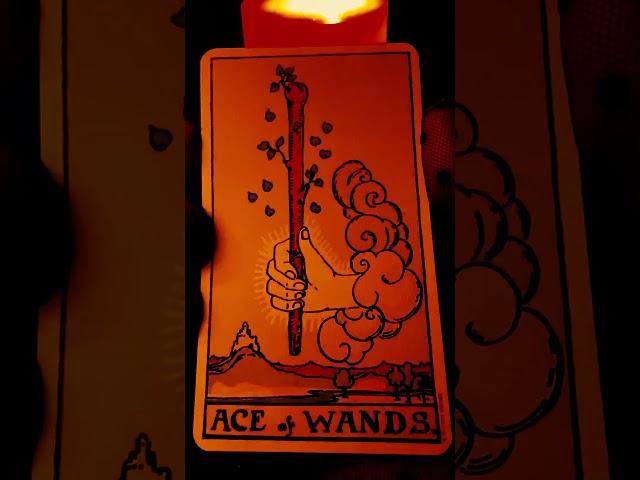 Your Spiritual Journey Begins With This | #tarot #tarotreading