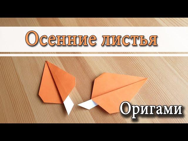 Autumn Pansy leaf Origami DIY