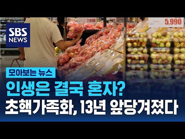 "나이 들어도 혼자가 좋아" 초핵가족화, 13년 앞당겨졌다 / SBS / 모아보는 뉴스