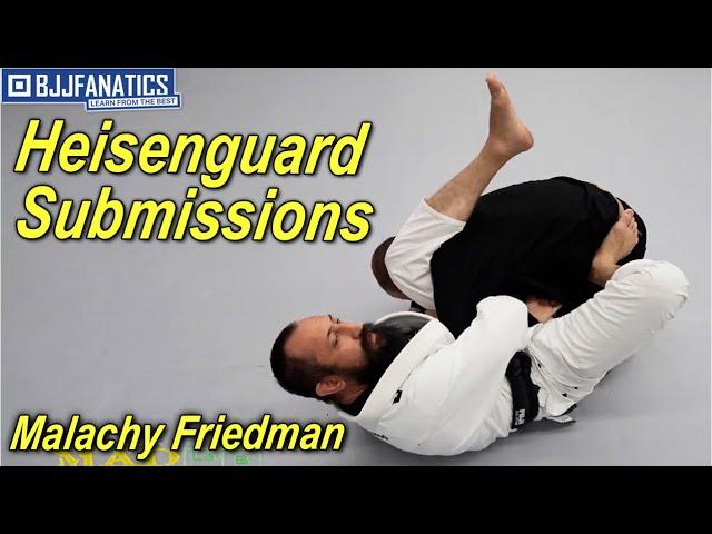 Heisenguard Submissions by Malachy Friedman