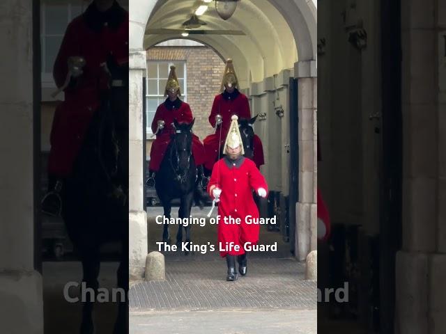 The King’s Life Guard #highlights #travel #horse #london #horseguards #history #travelvlog