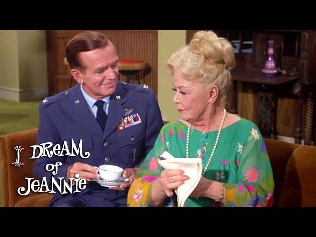 Dr. Bellows Has Tea With Tony's Mother | I Dream Of Jeannie