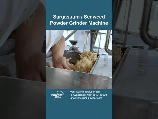 Sargassum / Seaweed Powder Grinder Machine, Seaweed Powder Making Machine, Seaweed Pulverizer - Mill