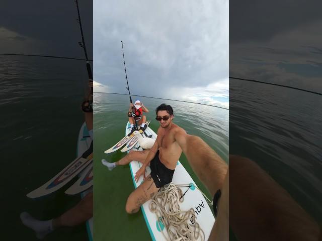 WATER SKIING OFF A SHARK 