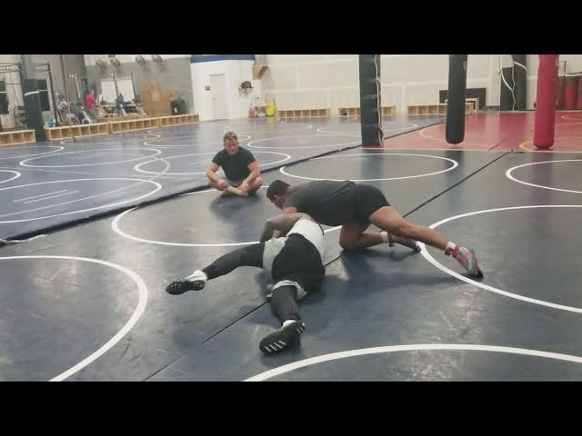 Mighty mouse & freedom MMA