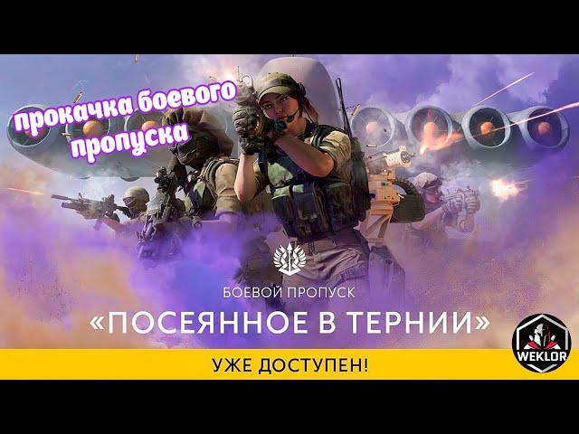 Калибр. Докачиваем Боевой Пропуск "Посеянное в Тернии", заходи друг ;)