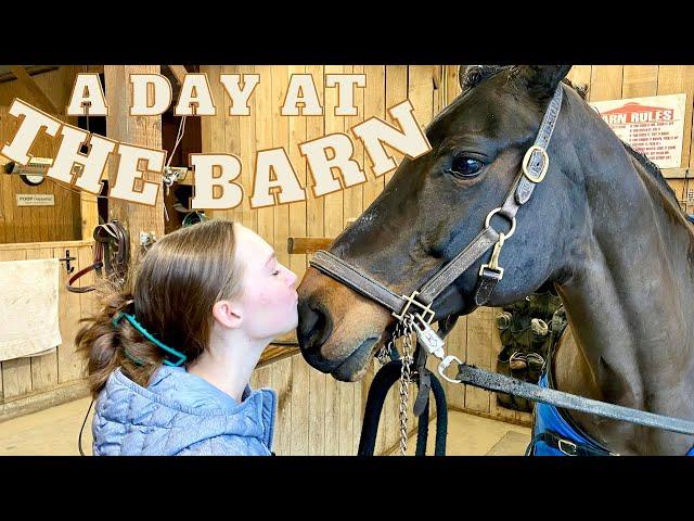 My Winter Barn Routine