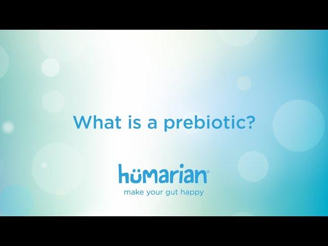 What is a prebiotic?