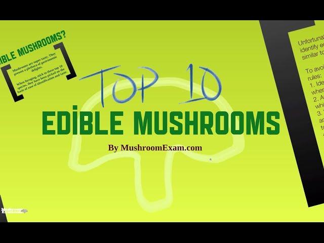 Top 10 Edible Mushrooms