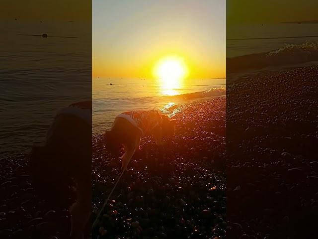 #маленькаясобачка #beach #йорк #york #summer #smalldog #море #sea