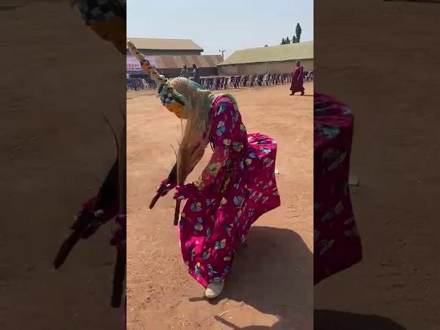 mammywater dance in Tiv land