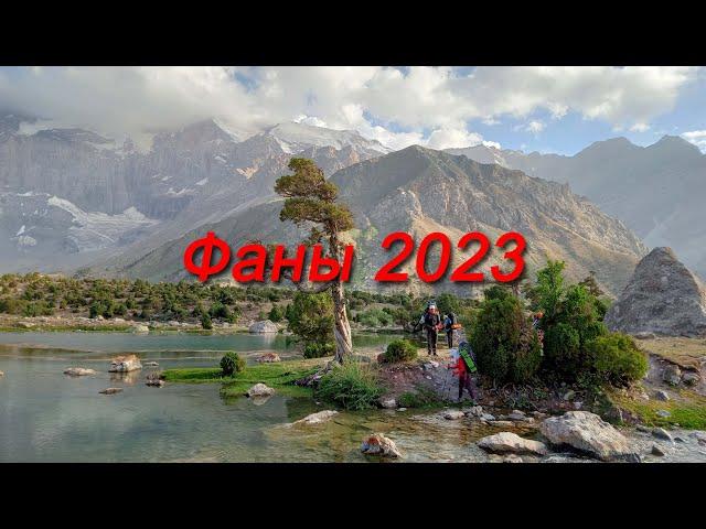 Фаны 2023