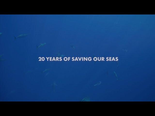 20 YEARS OF SAVING OUR SEAS