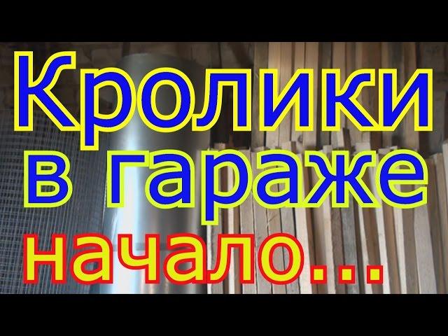 Кролиководство в гараже Начало