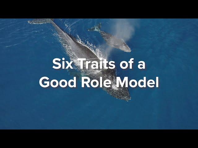 Six Traits of a Good Role Model