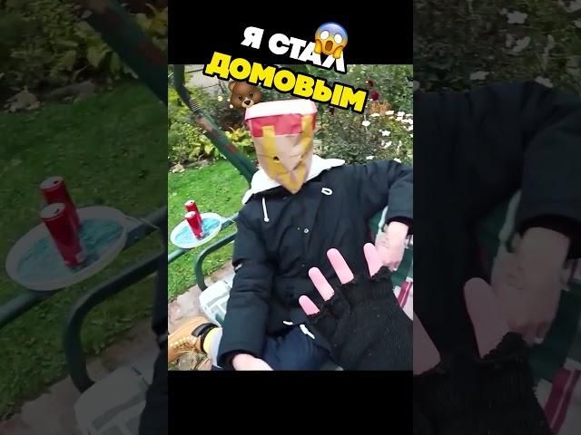  Я СТАЛ ДОМОВЫМ В РЕАЛЬНОЙ ЖИЗНИ 20