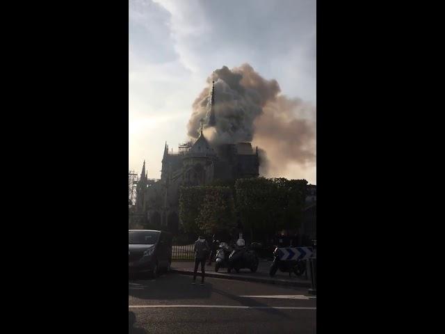 NotreDame on fire/ NotreDame в огне
