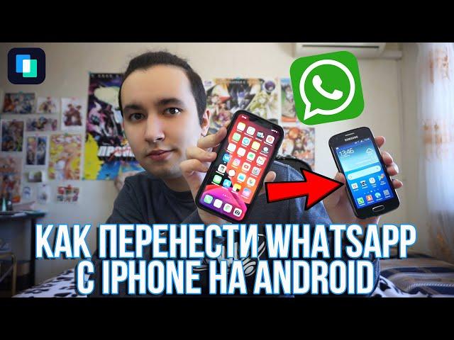 Как перенести Whatsapp с iPhone на Android? | Перенос чатов Whatsapp c iOS на Android