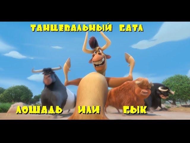 Батл лошадей и быков (Фердинанд 2017)